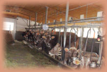 stand November 2017