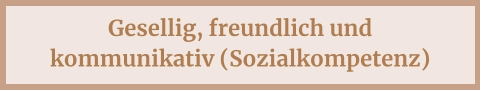 Gesellig, freundlich und kommunikativ (Sozialkompetenz)