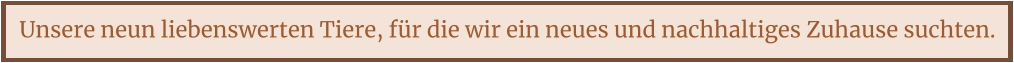 Unsere neun liebenswerten Tiere, für die wir ein neues und nachhaltiges Zuhause suchten.