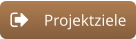 Projektziele
