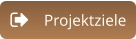 Projektziele