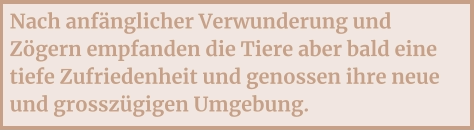 Nach anfänglicher Verwunderung und Zögern empfanden die Tiere aber bald eine tiefe Zufriedenheit und genossen ihre neue und grosszügigen Umgebung.