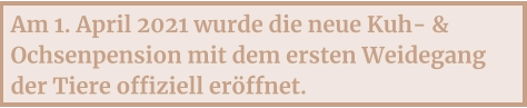 Am 1. April 2021 wurde die neue Kuh- & Ochsenpension mit dem ersten Weidegang der Tiere offiziell eröffnet.