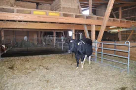 Stand Januar 2019