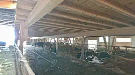 Stand August 2018