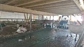 Stand August 2018