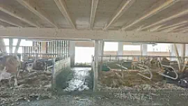Stand August 2018