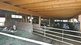 Stand August 2018