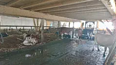 Stand August 2018