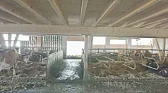 Stand August 2018