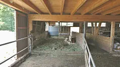 Stand August 2018