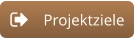Projektziele