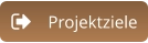 Projektziele