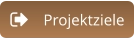 Projektziele