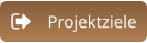 Projektziele