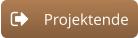 Projektende