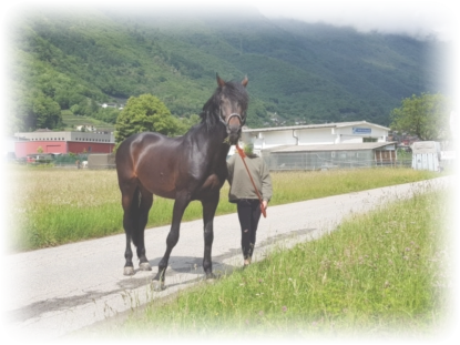 heute weggegeben und entsorgt