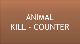 ANIMALKILL - COUNTER