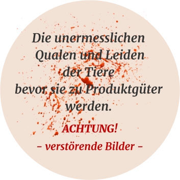 Die unermesslichen Qualen und Leiden der Tiere bevor sie zu Produktgüter werden. ACHTUNG!- verstörende Bilder -