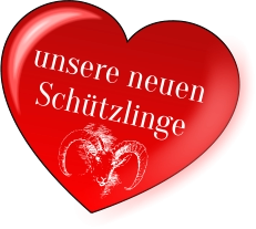 unsere neuen Schützlinge