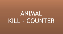 ANIMALKILL - COUNTER