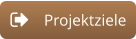 Projektziele