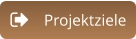 Projektziele
