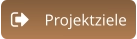 Projektziele