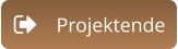 Projektende
