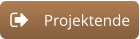 Projektende