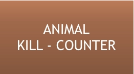 ANIMALKILL - COUNTER