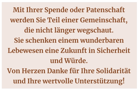 Mit Ihrer Spende oder Patenschaft werden Sie Teil einer Gemeinschaft,  die nicht länger wegschaut.  Sie schenken einem wunderbaren Lebewesen eine Zukunft in Sicherheit  und Würde.  Von Herzen Danke für Ihre Solidarität und Ihre wertvolle Unterstützung!