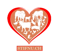 STIFNU.CH STIFNU.CH